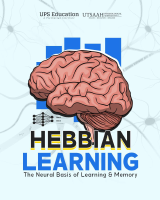 Hebbian Learning.pdf